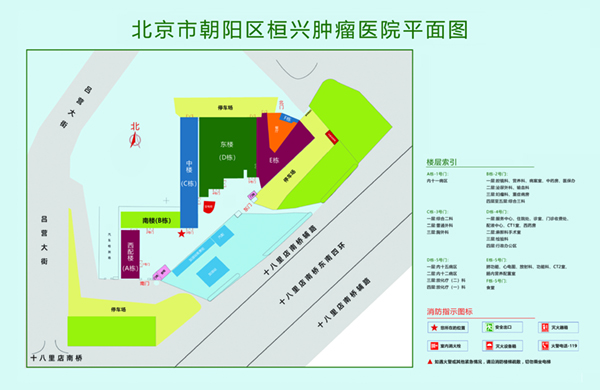 大屌曰逼北京市朝阳区桓兴肿瘤医院平面图